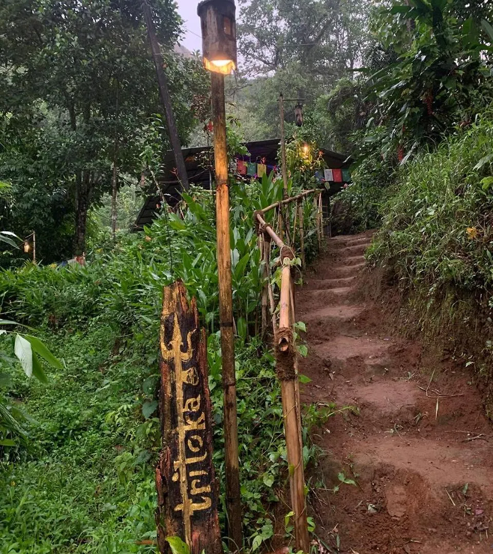 Farm stay Triloka Dorm By The Offbeat Crew Villa Munnar India